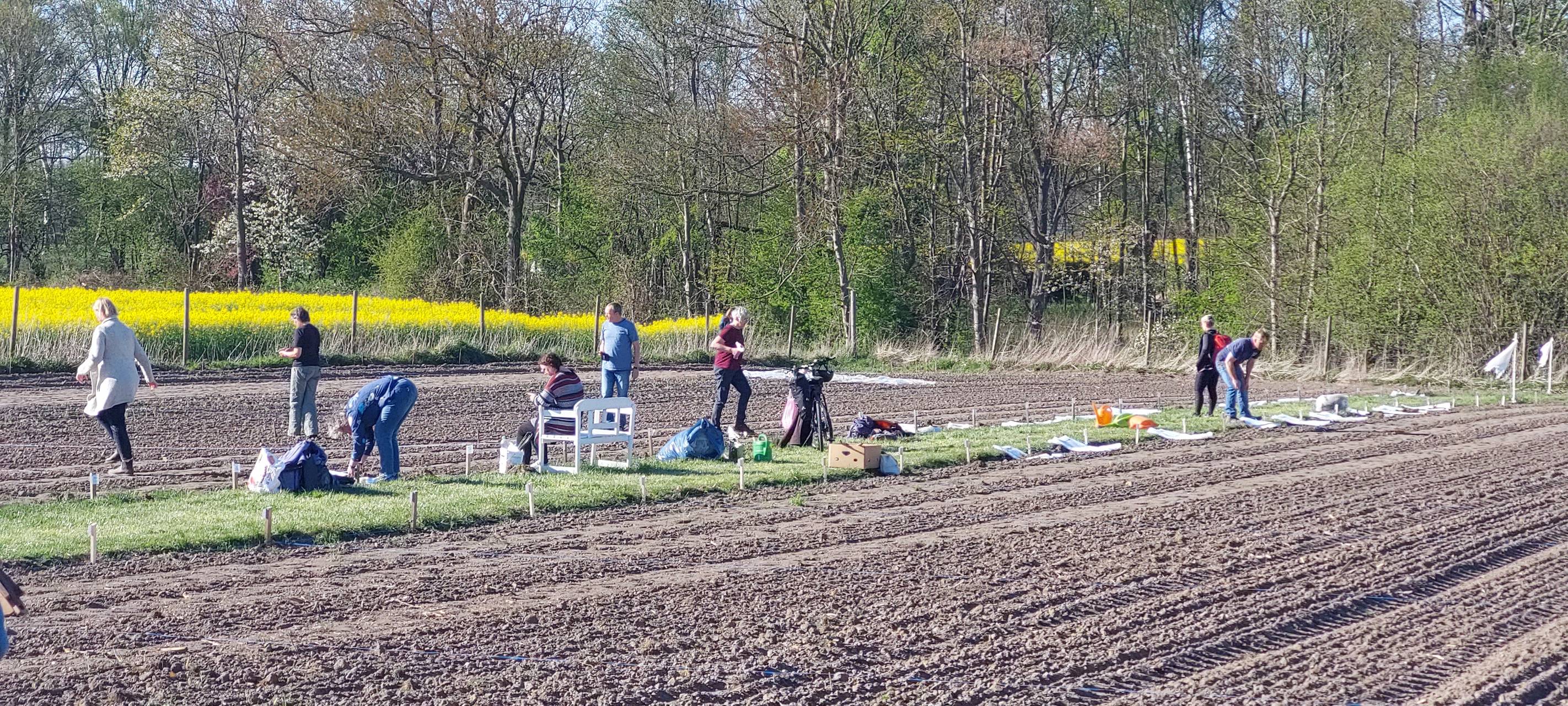 Dortmunder Hof stellt Miet-Gärten zur Verfügung