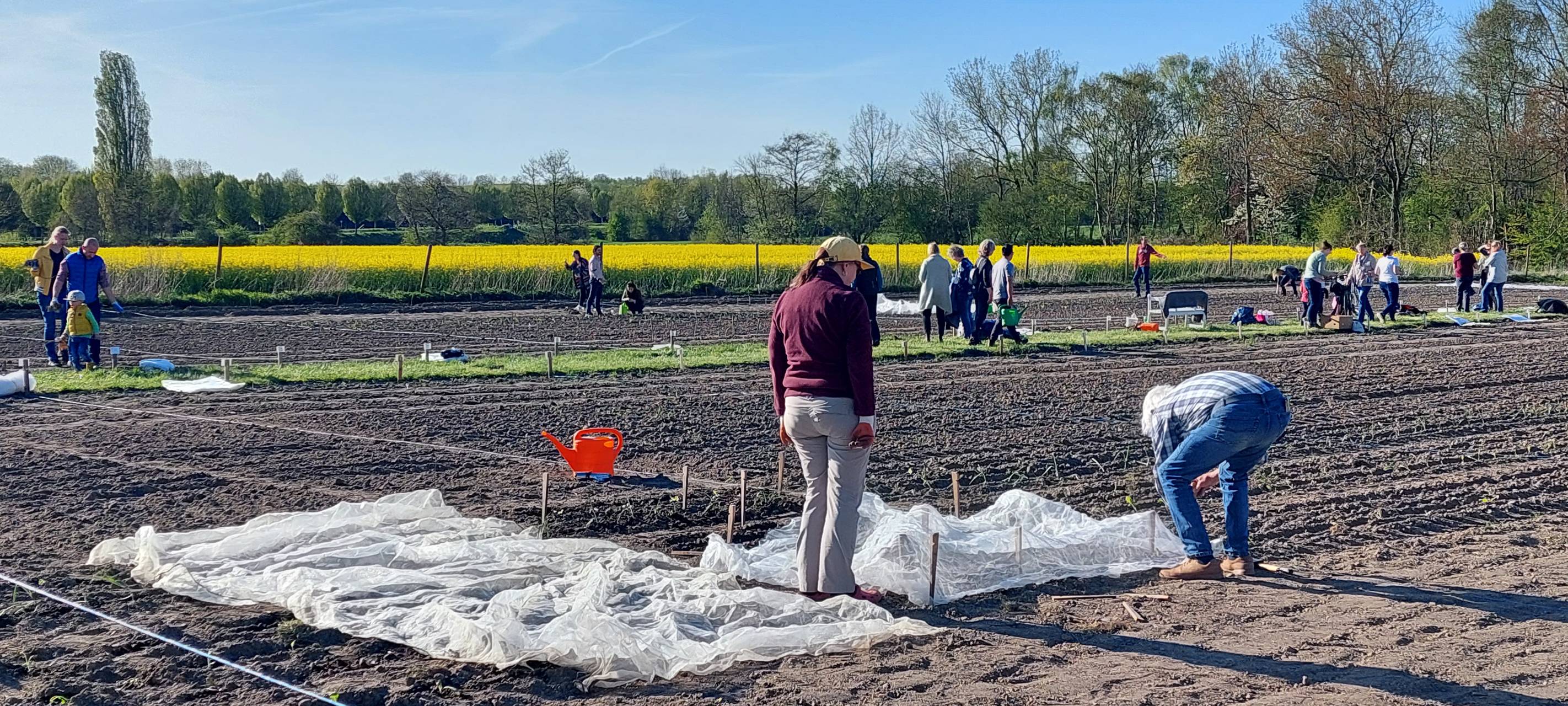 Dortmunder Hof stellt Miet-Gärten zur Verfügung