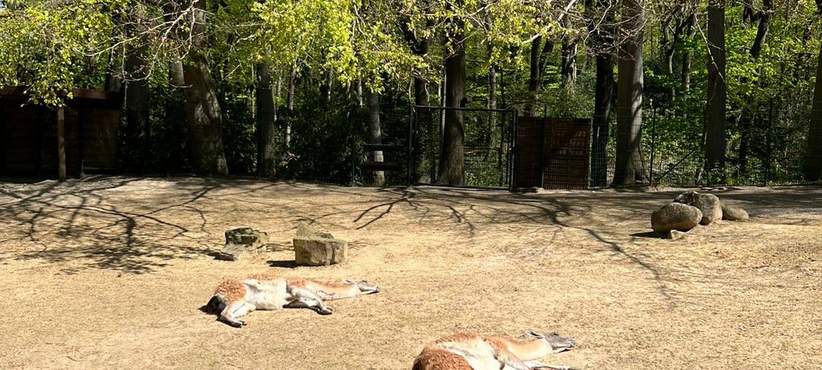 Frühlingsstimmung im Dortmunder Zoo