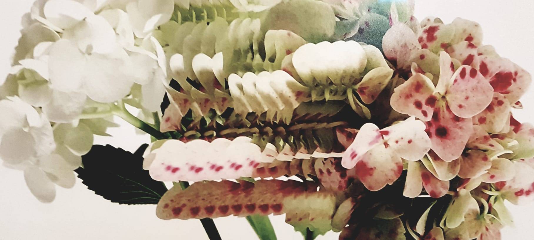 Neue Ausstellung in Dortmund: Flowers im U-Turm