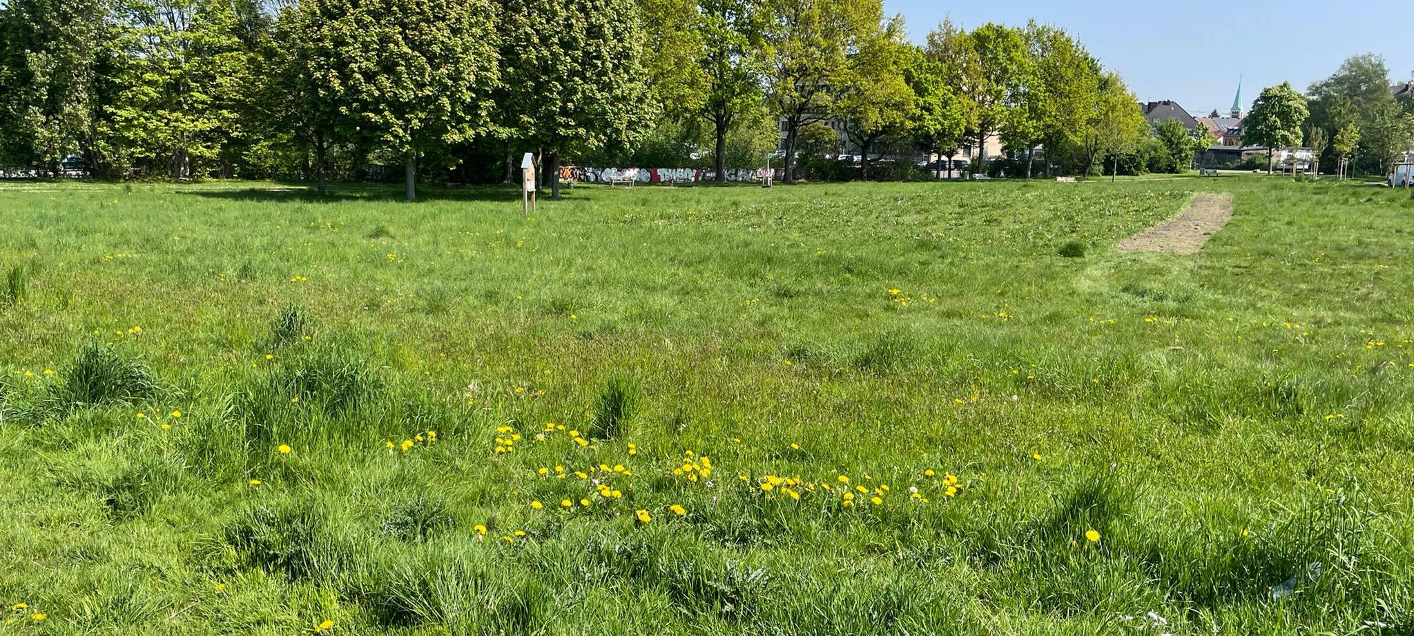 Radio 91.2 übernimmt Patenschaft für Wildblumenwiese