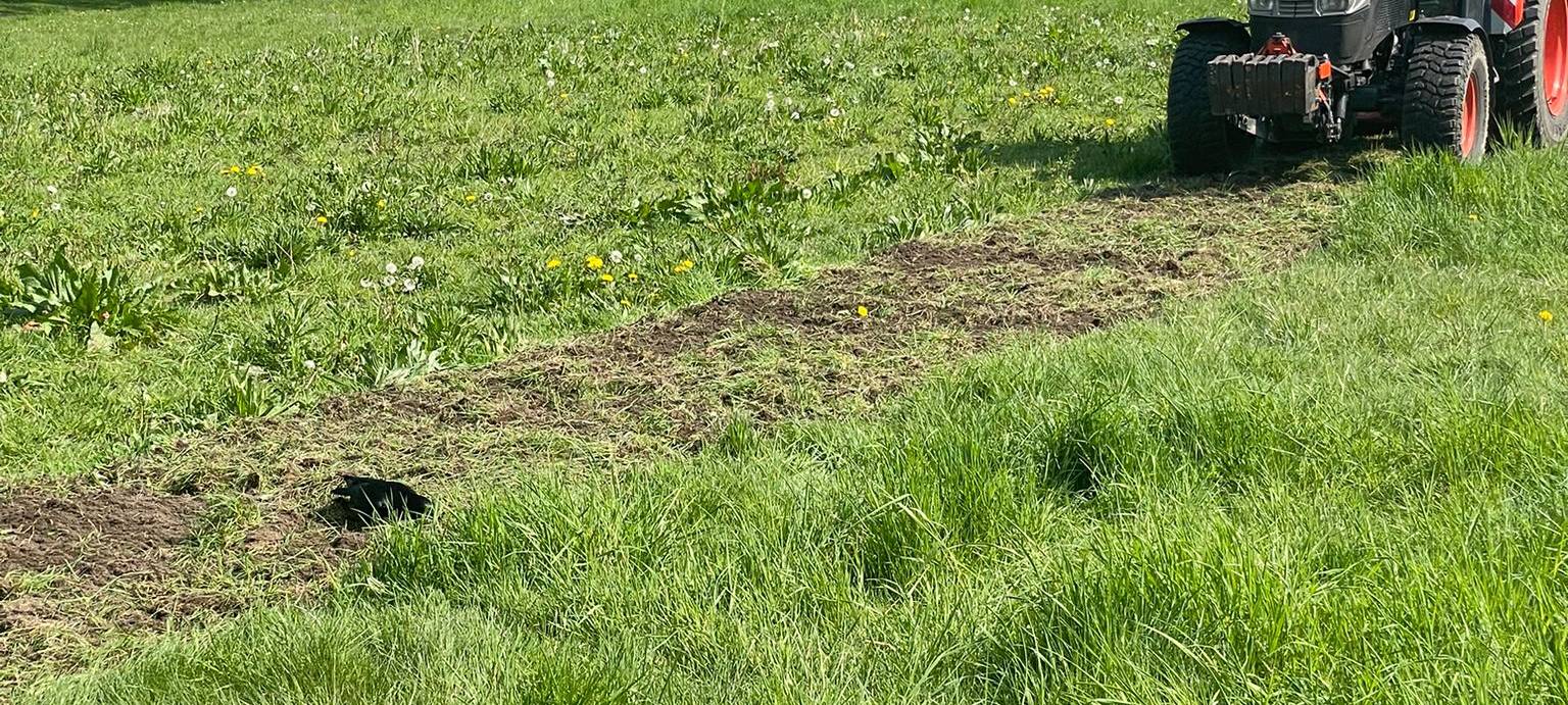 Radio 91.2 übernimmt Patenschaft für Wildblumenwiese