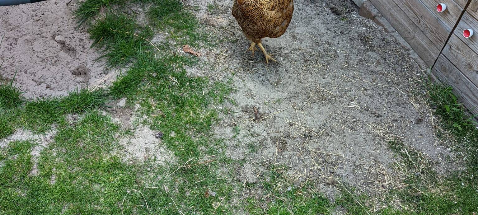 Dortmund: Radio 91.2 besucht Nachbarschaft in der Tremoniastraße