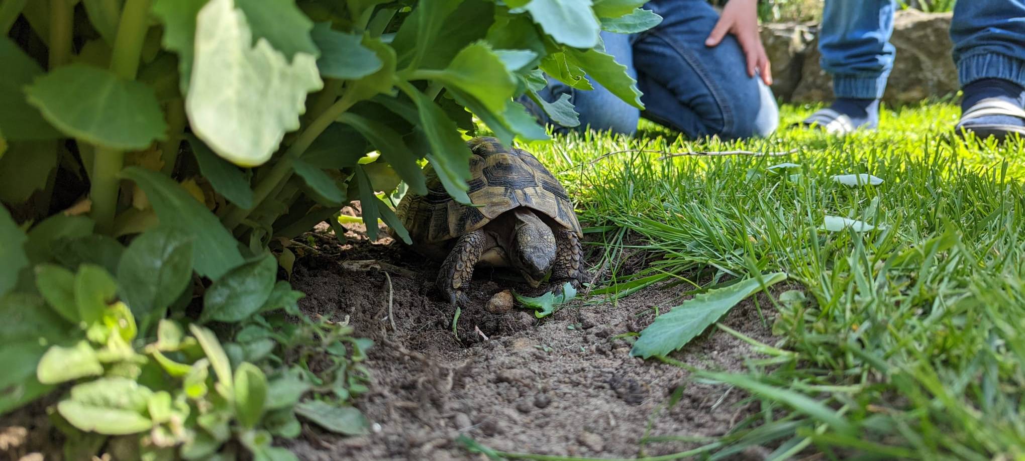 Dortmund: Radio 91.2 besucht Nachbarschaft in der Tremoniastraße