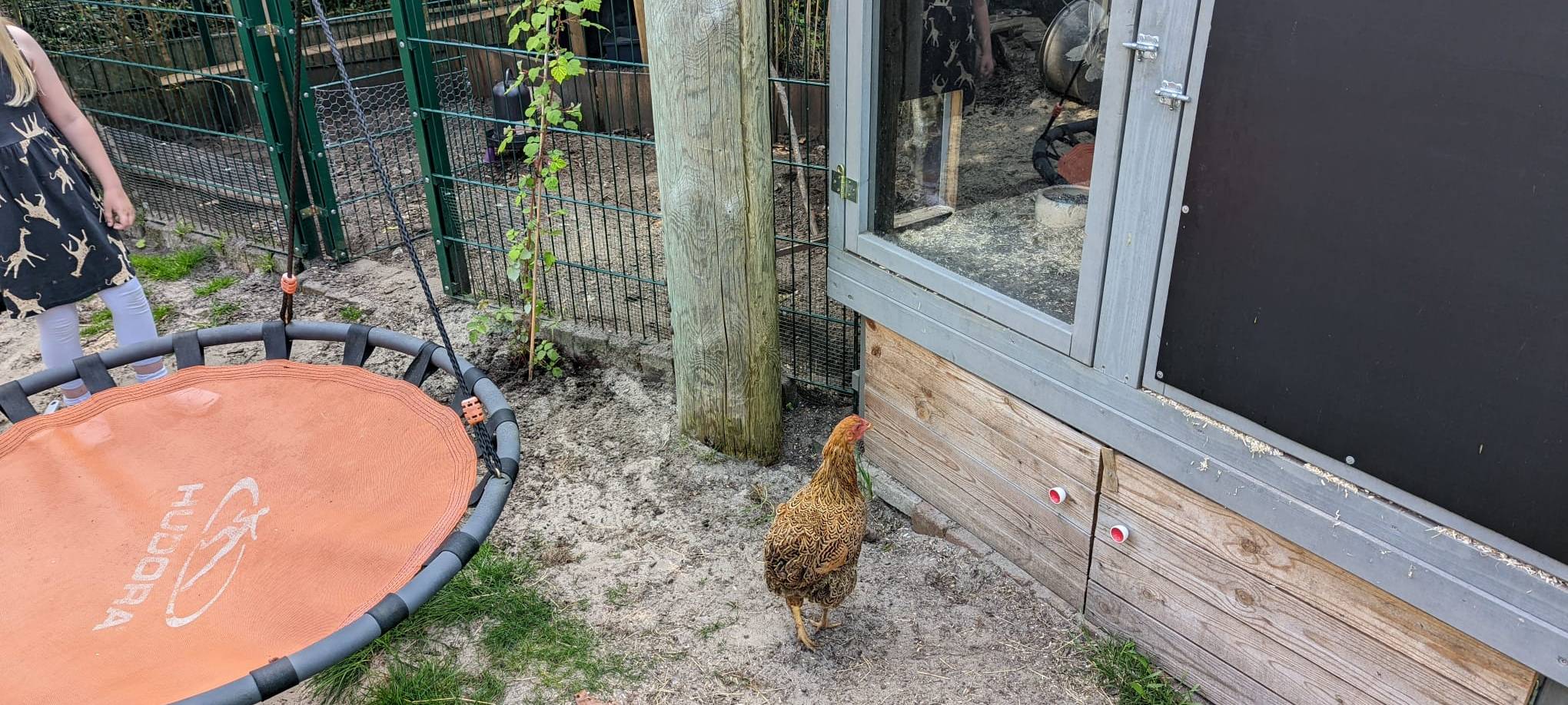 Dortmund: Radio 91.2 besucht Nachbarschaft in der Tremoniastraße