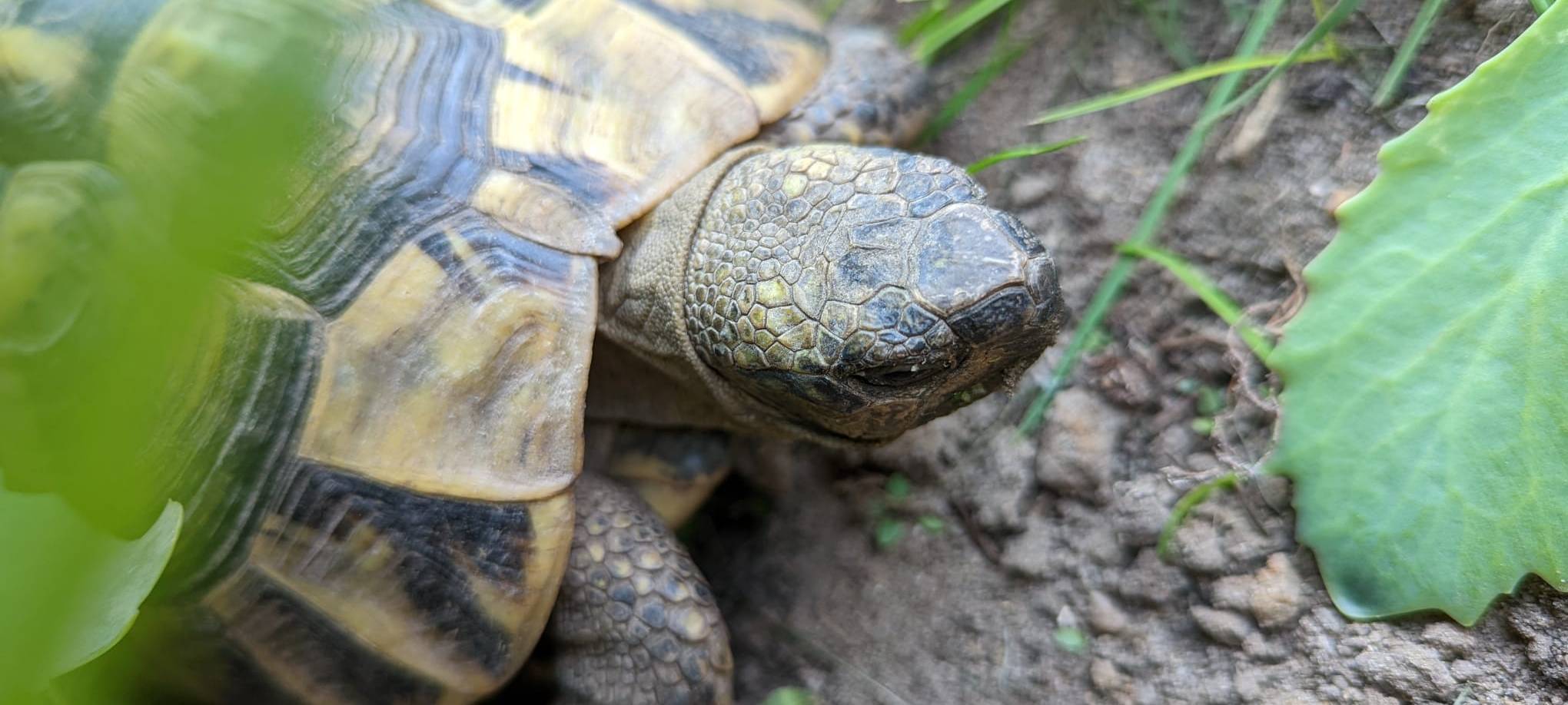 Dortmund: Radio 91.2 besucht Nachbarschaft in der Tremoniastraße