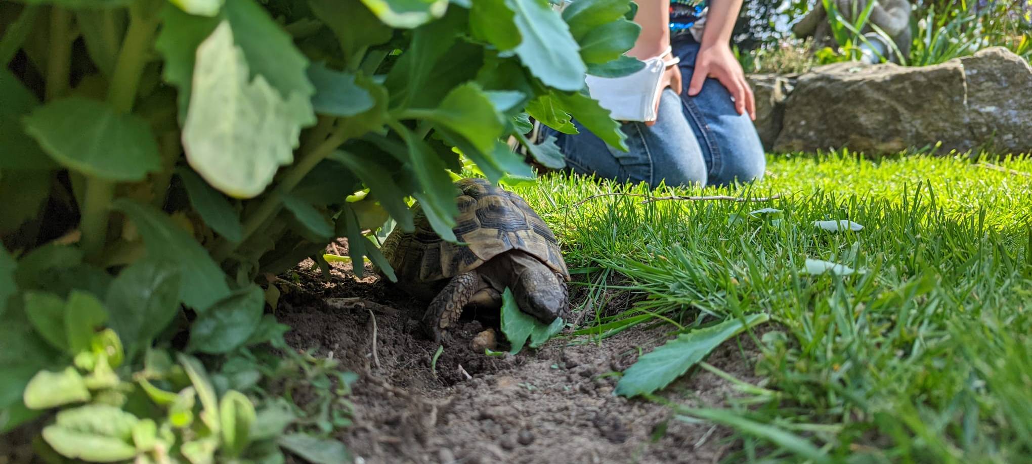 Dortmund: Radio 91.2 besucht Nachbarschaft in der Tremoniastraße