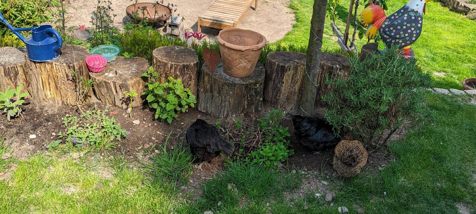 Dortmund: Radio 91.2 besucht Nachbarschaft in der Tremoniastraße