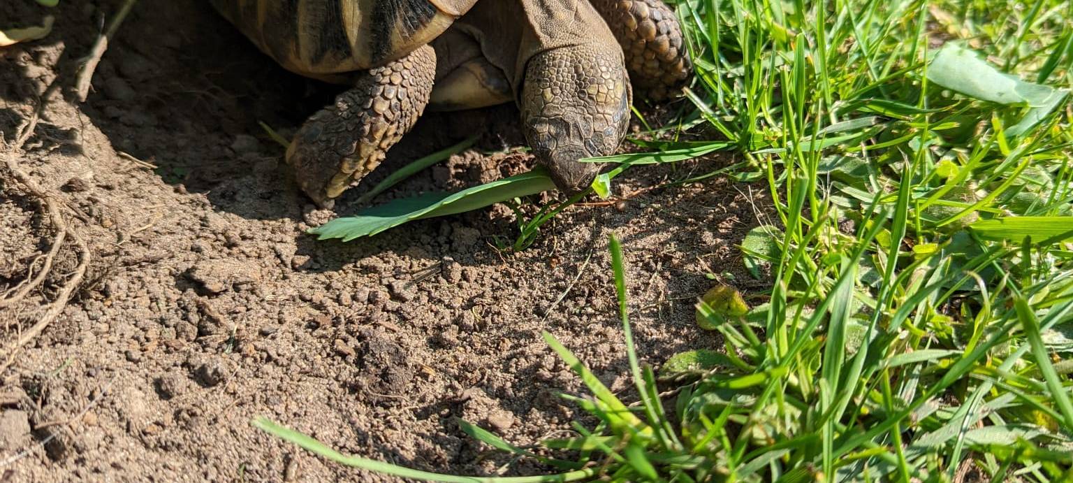 Dortmund: Radio 91.2 besucht Nachbarschaft in der Tremoniastraße