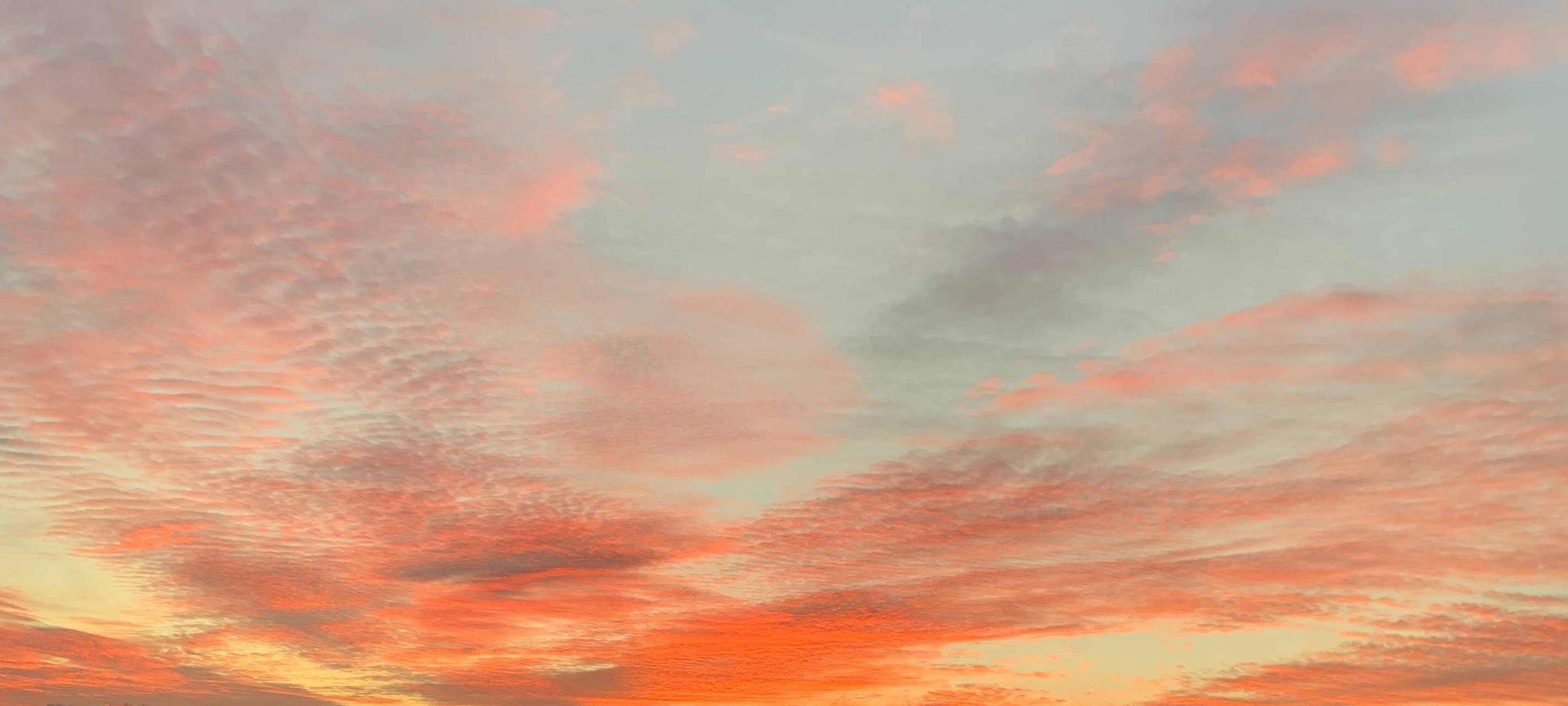 Führerschein wird teurer und teurer: Das sind die Gründe