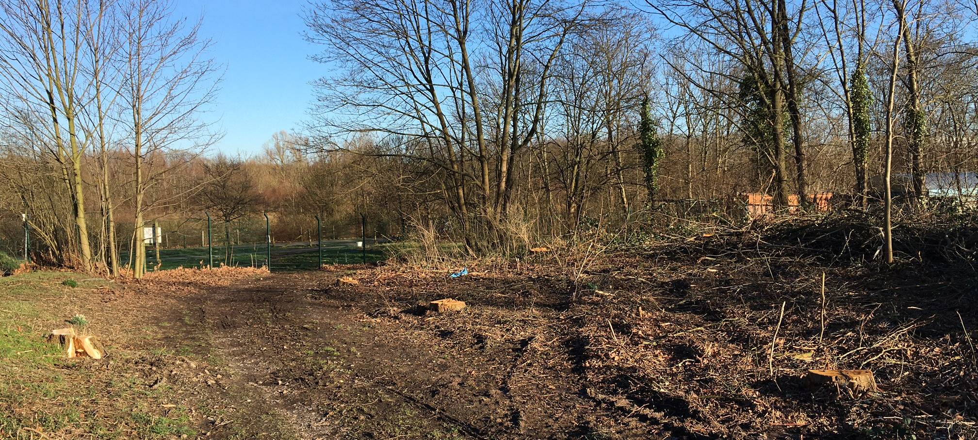 Deusenberg: Beliebter Trampelpfad barrierefrei