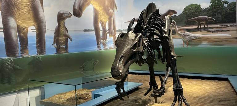 Jurassic World 3: Fakten-Check im Naturmuseum Dortmund