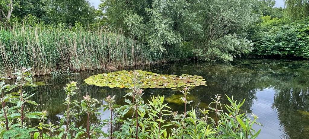 Jurassic World 3: Fakten-Check im Naturmuseum Dortmund