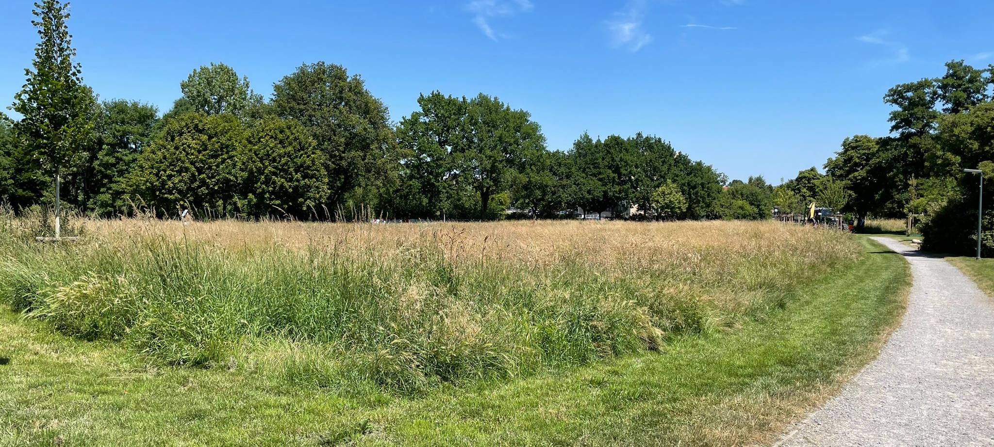 Radio 91.2 übernimmt Patenschaft für Wildblumenwiese