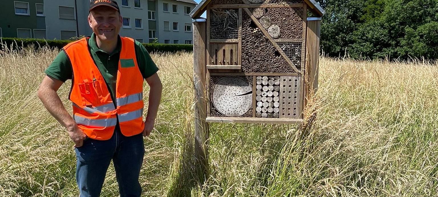 Radio 91.2 übernimmt Patenschaft für Wildblumenwiese