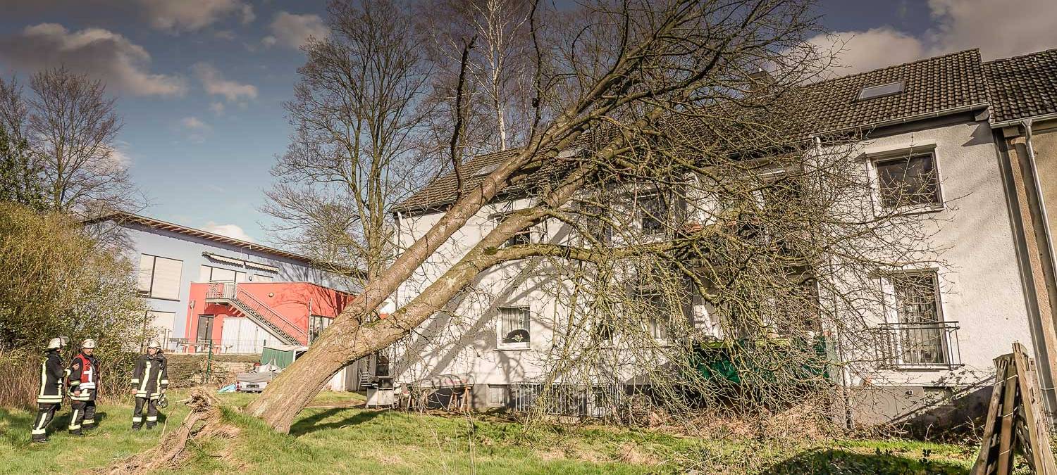 Sturmschäden in Dortmund