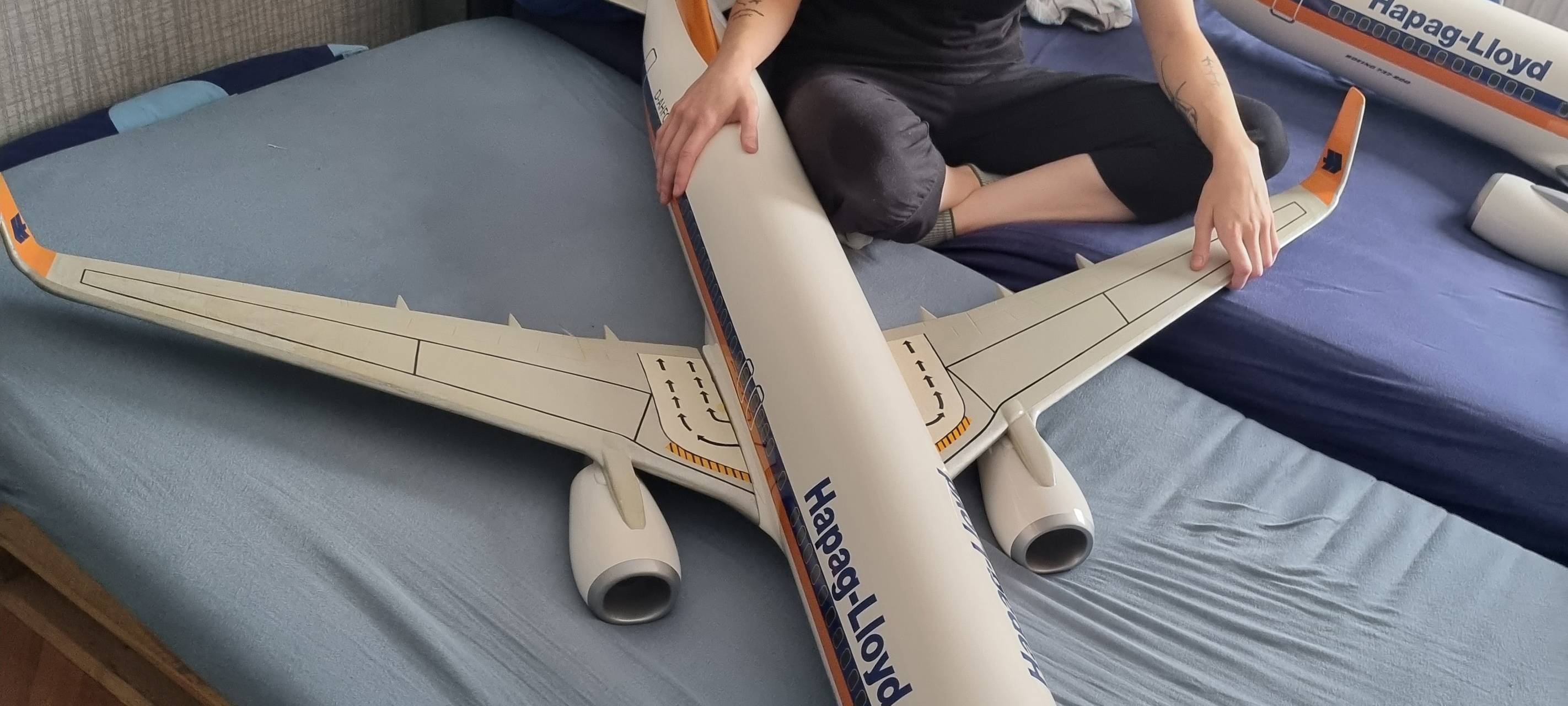 Objektsexualität: Dortmunderin liebt Flugzeug