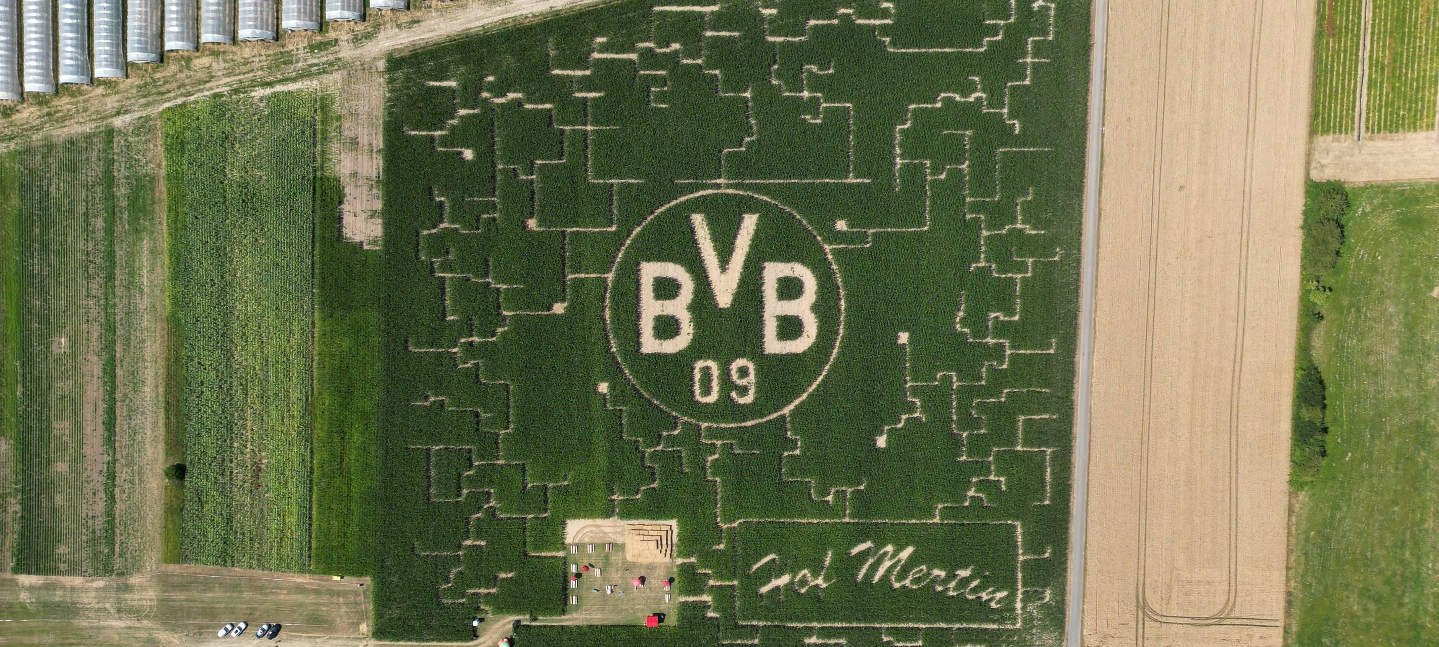 Maislabyrinth mit BVB-Logo eröffnet in Dortmund