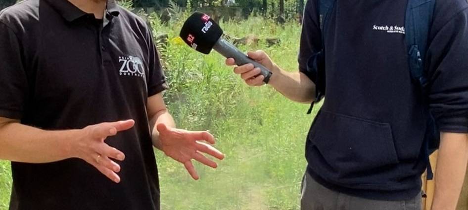 Zoo Dortmund: Besuch bei den Löwen