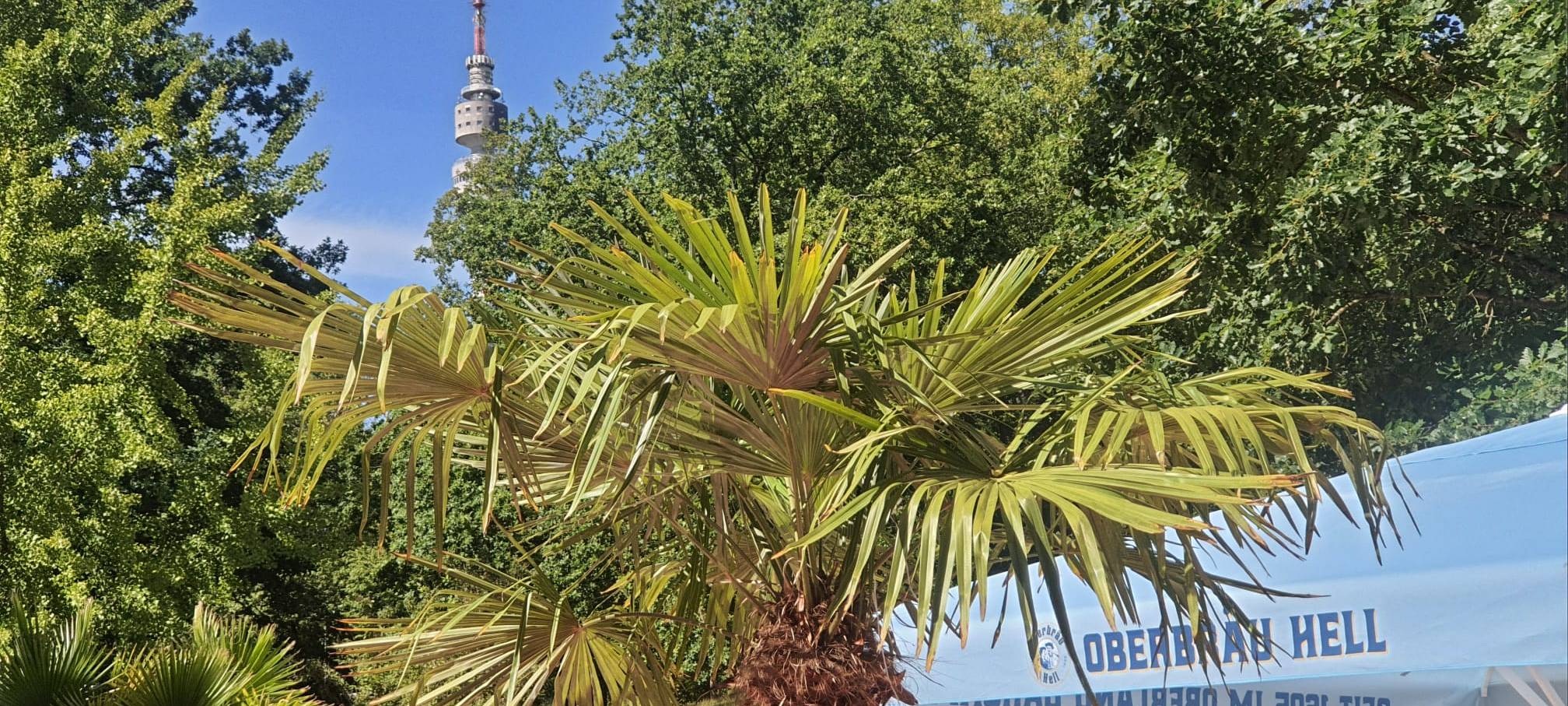 Karibik-Feeling im Dortmunder Westfalenpark