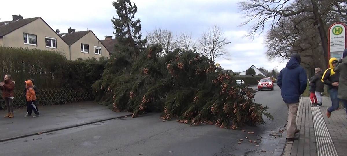 Sturm hält Feuerwehr auf Trab