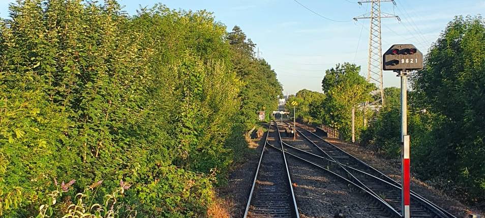 Helden der Frühschicht: Dortmunder Eisenbahn