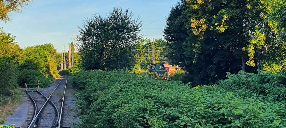 Helden der Frühschicht: Dortmunder Eisenbahn