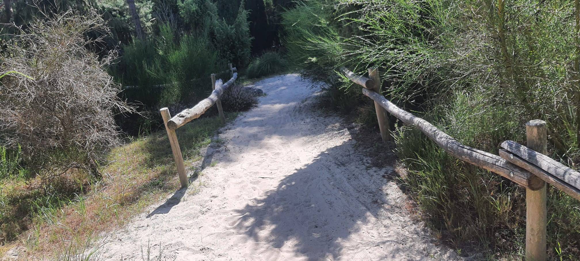 Romberg Park Dortmund