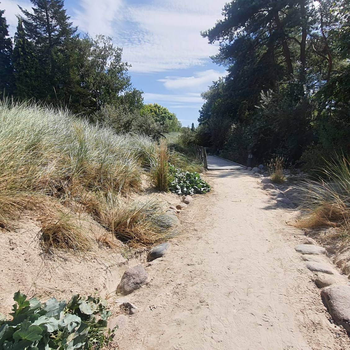 Romberg Park Dortmund