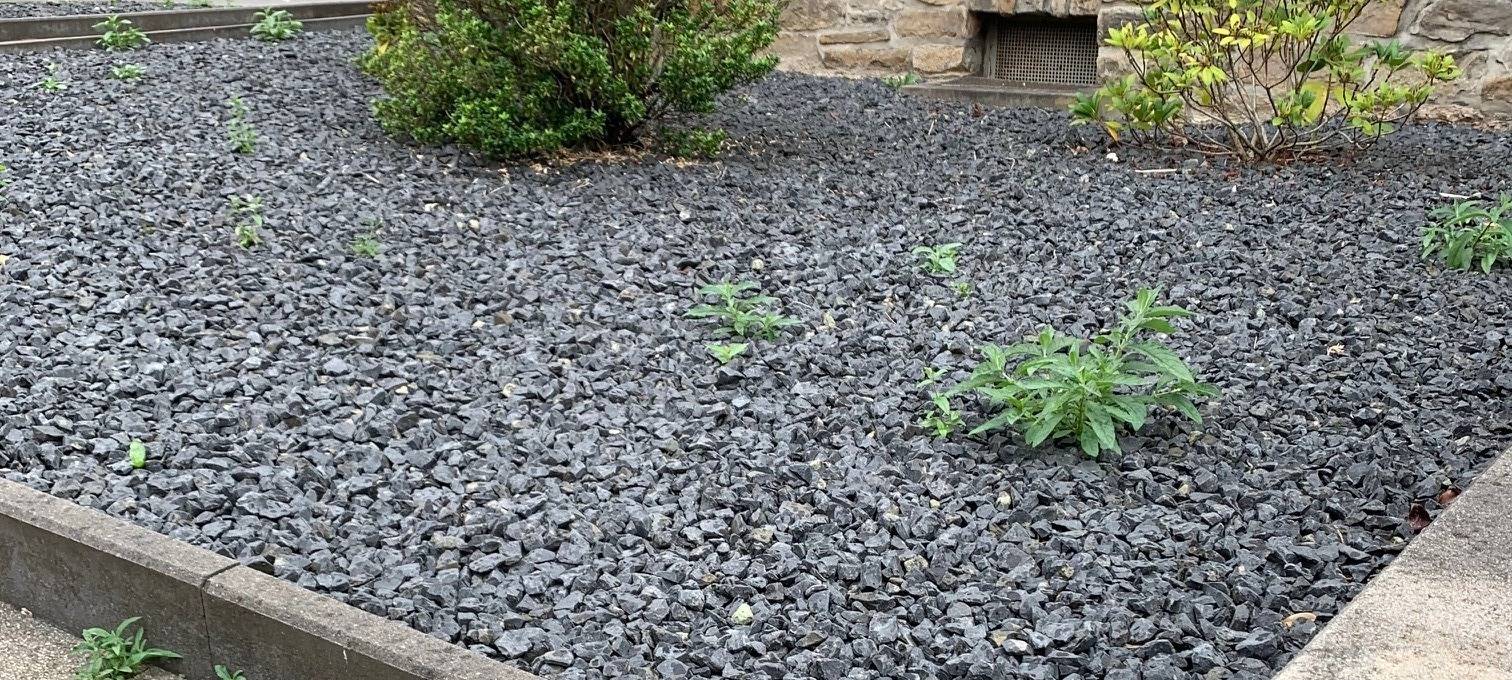 Dortmund schmeißt den Schotter raus