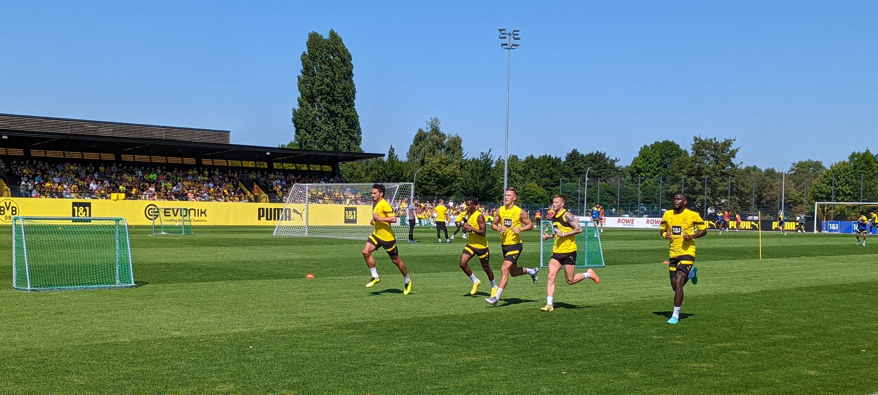 BVB: WM-Ausscheider müssen direkt ins Training