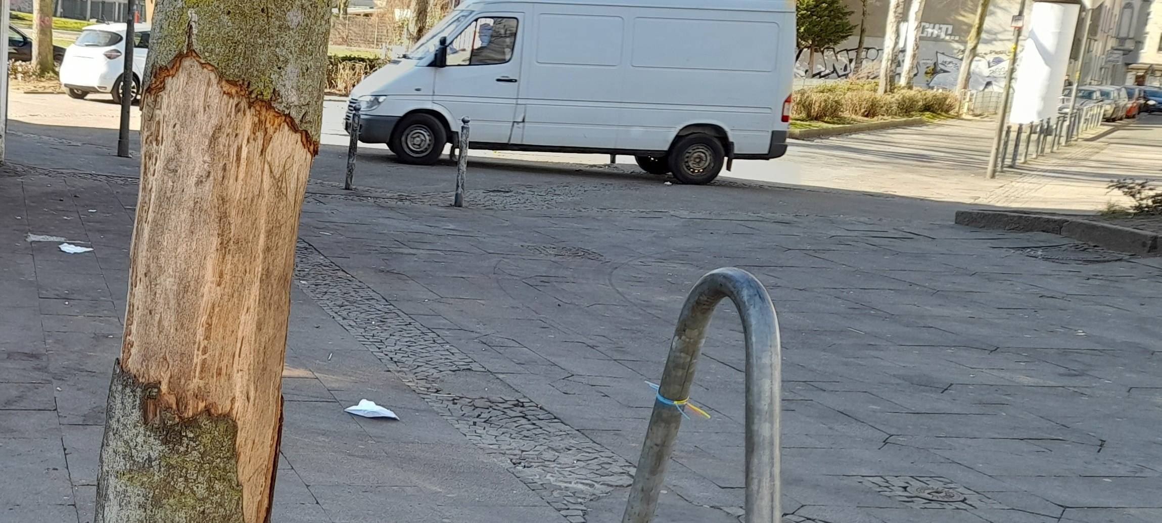 Dortmund: Unbekannte schälen Rinde von Bäumen ab