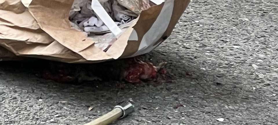 Ekelhaus Mozartstraße in Dortmund.