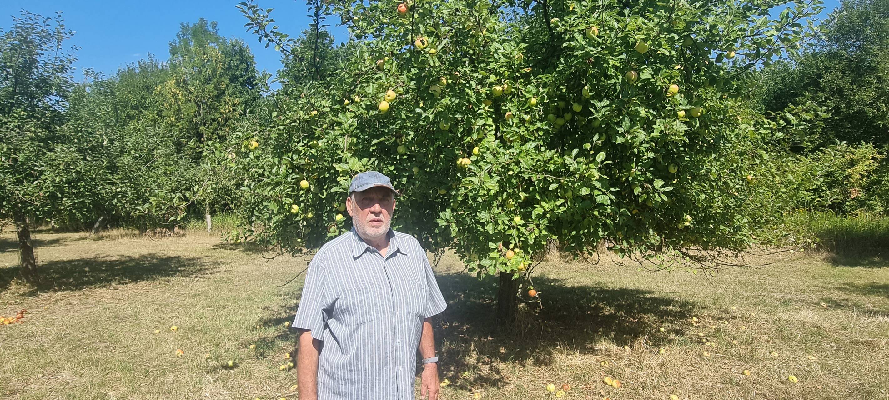 Obstbaumwiese in Dortmund: Obst zum Selbstpflücken
