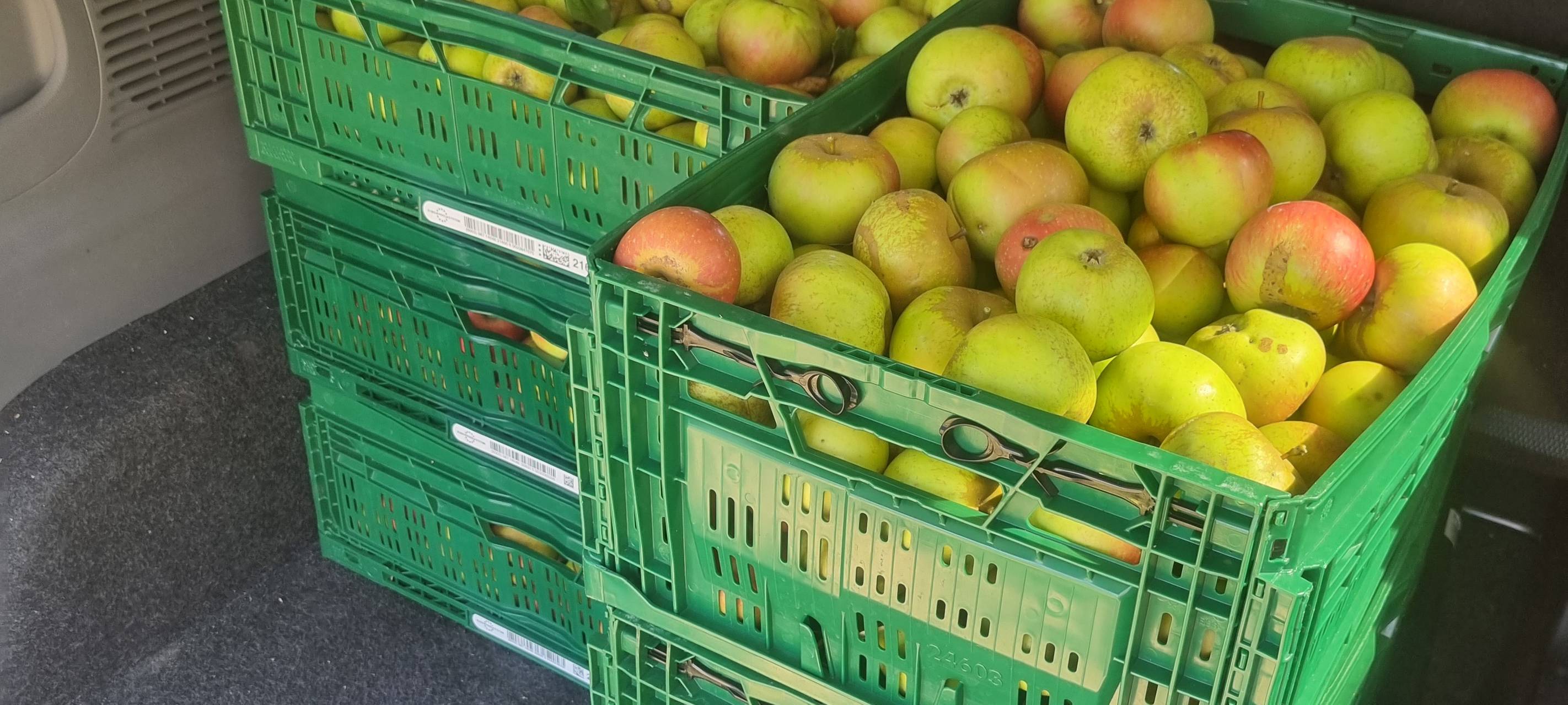 Dortmunder Bioläden machen weniger Umsatz