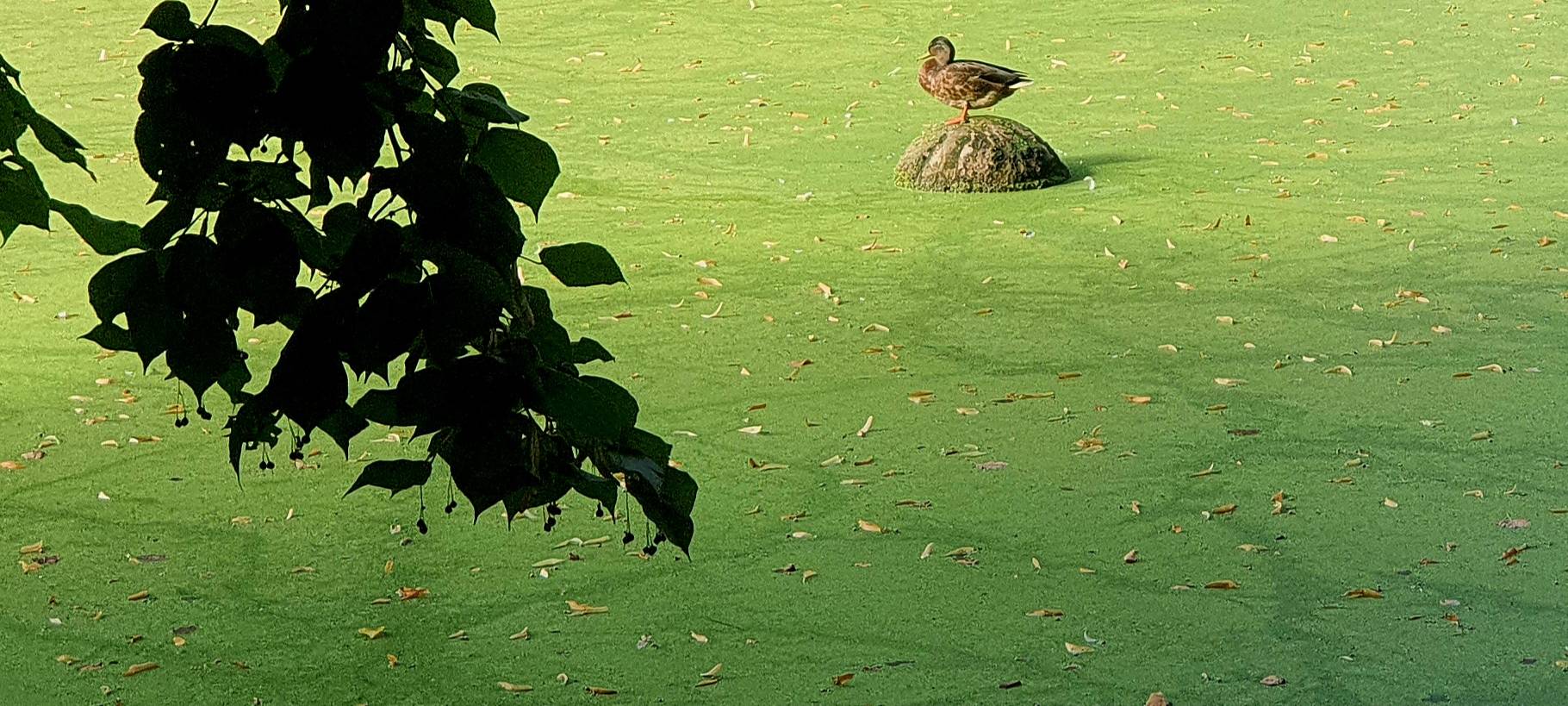 Schlosspark in Dortmund öffnet für Besucher