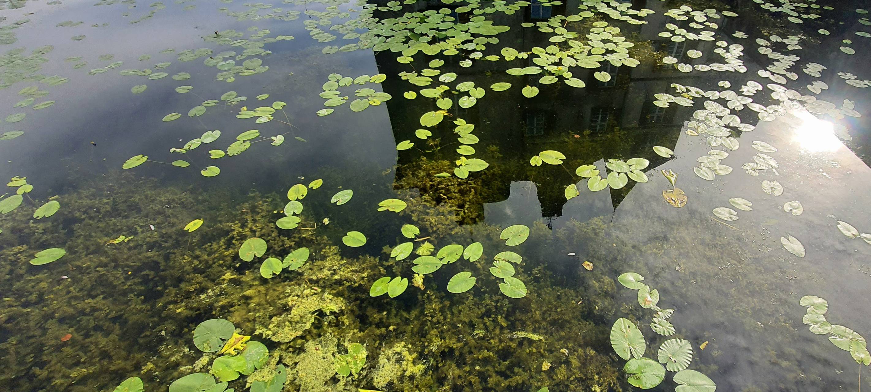 Schlosspark in Dortmund öffnet für Besucher