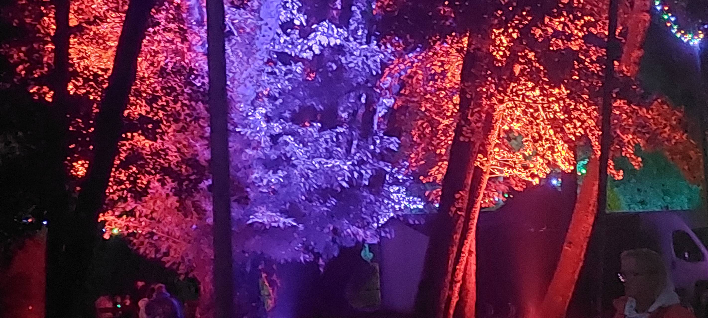 Dortmunder Lichterfest im Fredenbaumpark