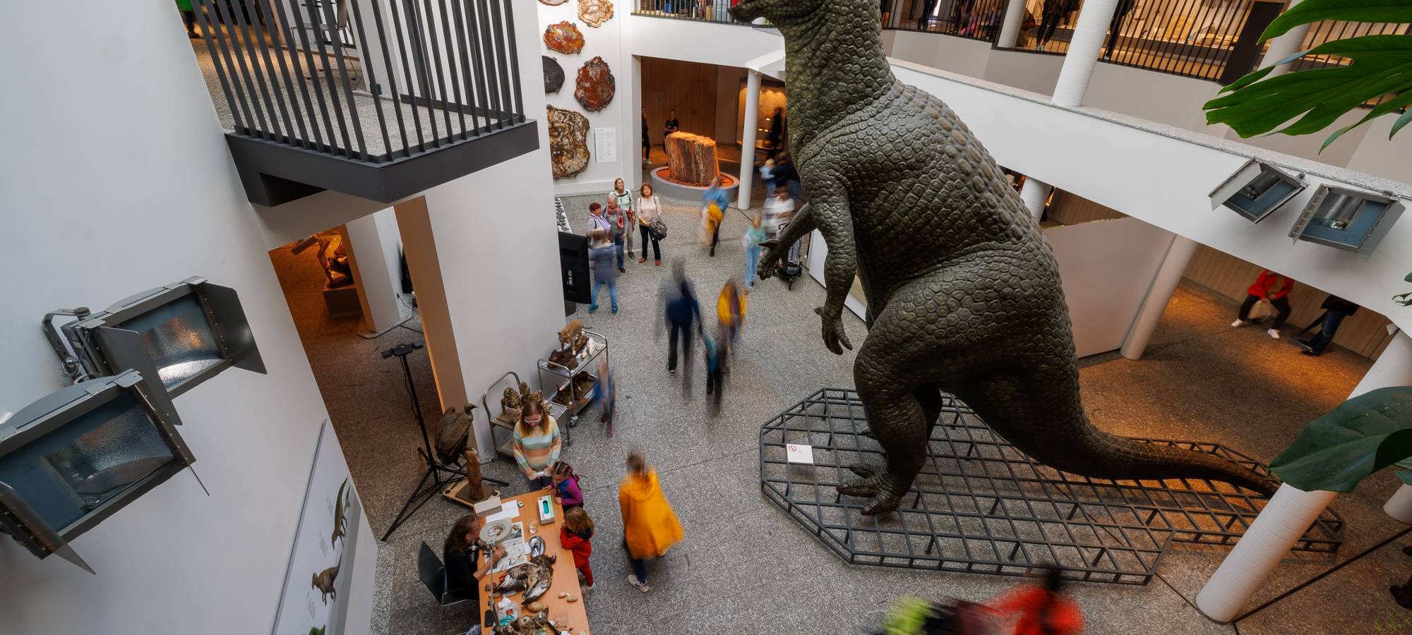 Das war die 22. Dortmunder Museumsnacht