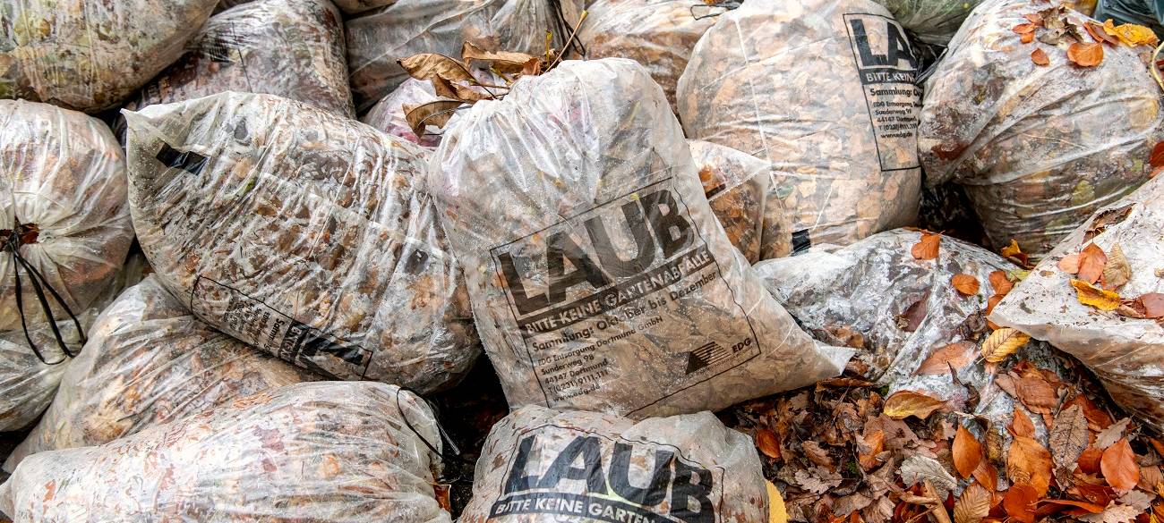 Dortmund: EDG startet Laubsack-Aktion