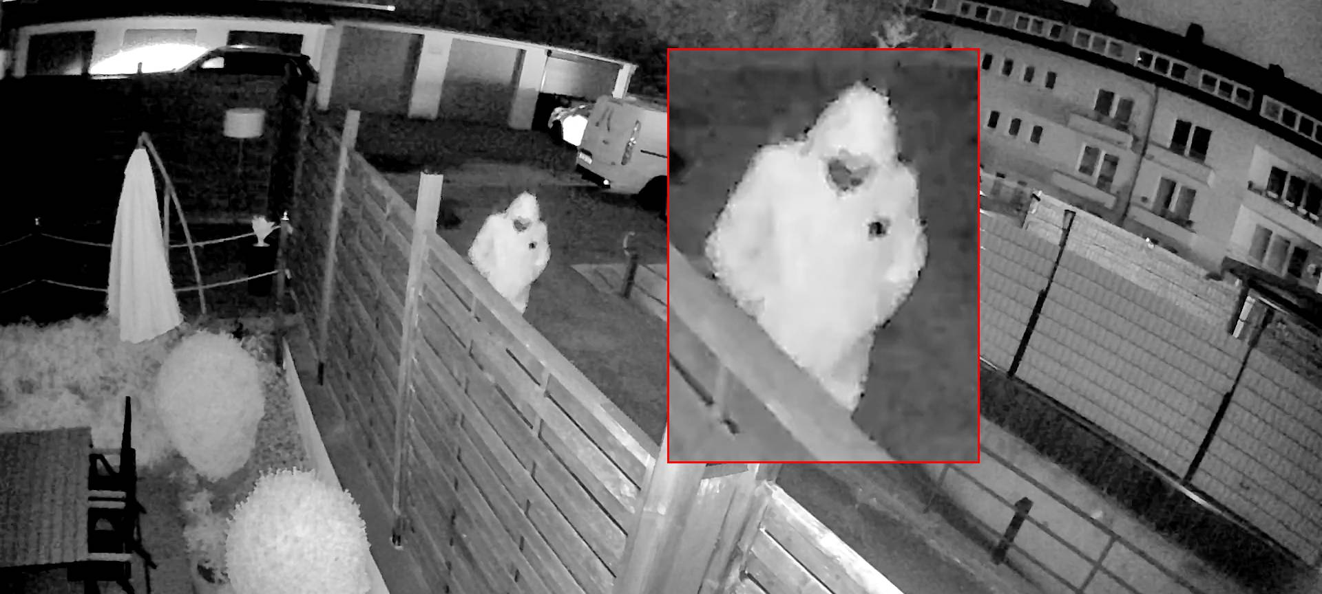 Polizei fahndet mit Foto nach Brandstifter