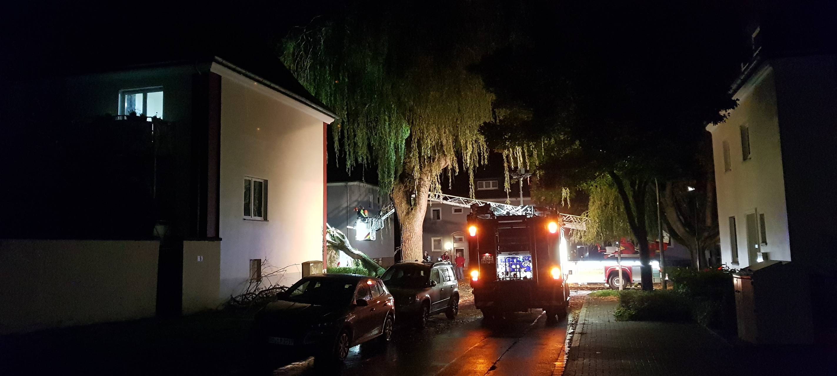 Gartenstadt: Weide stürzt auf Transporter