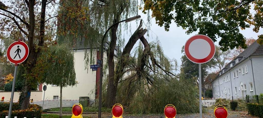 Gartenstadt: Weide stürzt auf Transporter
