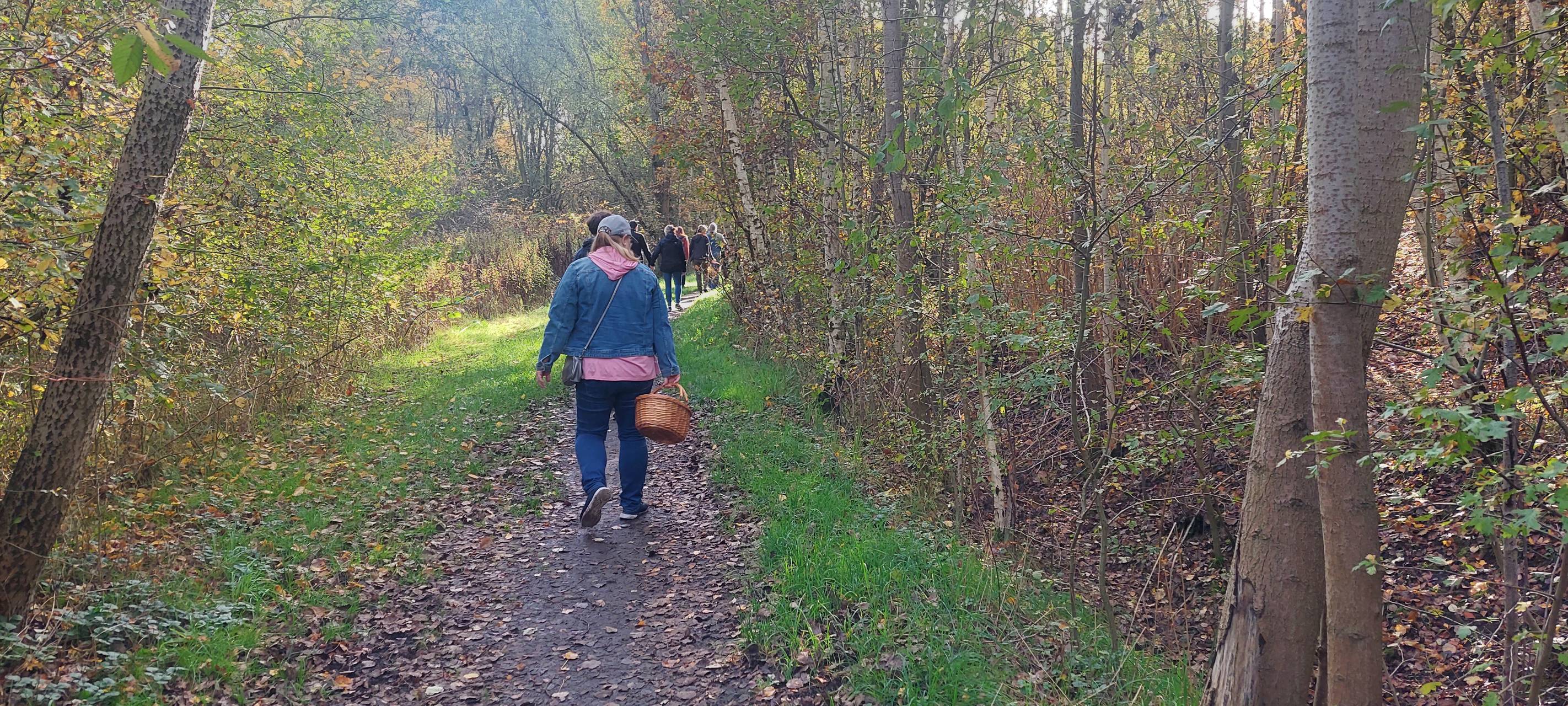 Pilzführung in Waltrop: Was muss man beim Pilzesammeln beachten?