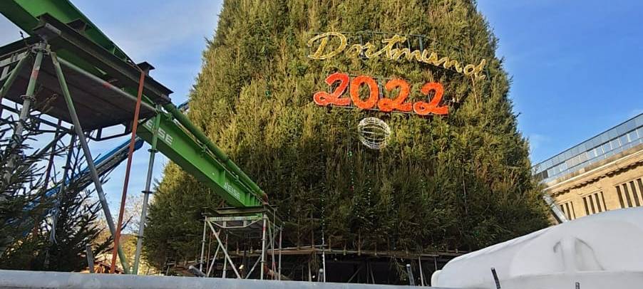 Mit dem Hubwagen an die Spitze der Dortmunder Riesentanne