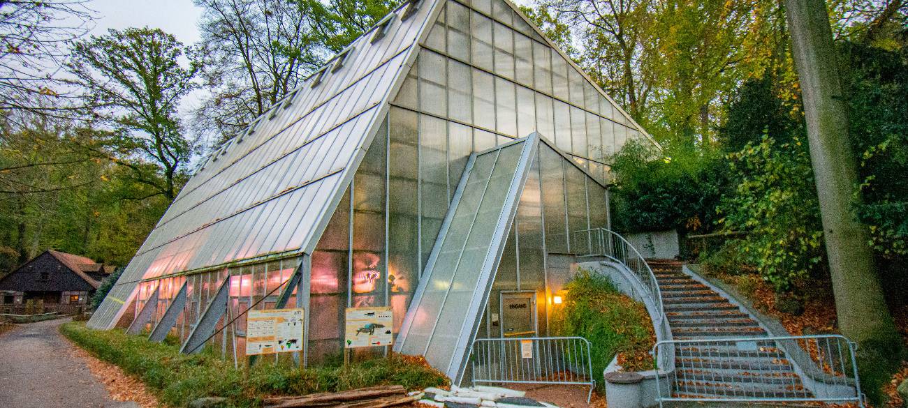 Dortmund: Zoo schließt Amazonas-Haus