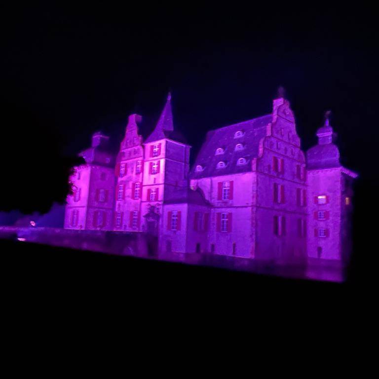 Weihnachtsflair im Schlosspark Bodelschwingh Dortmund