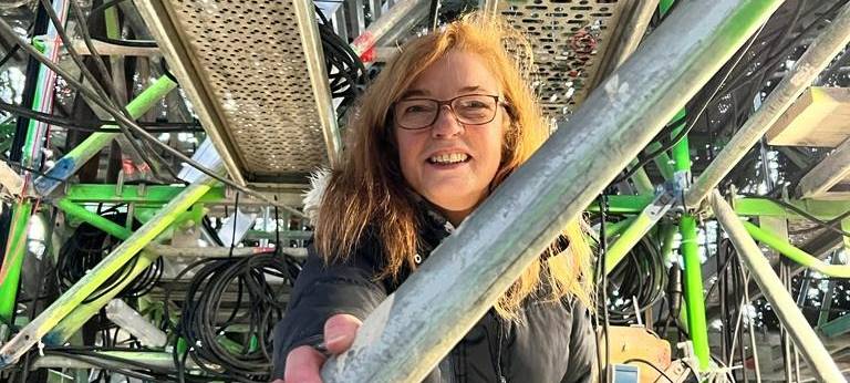 Radio 91.2-Reporterin Karin Jurke im Dortmunder Weihnachtsbaum.