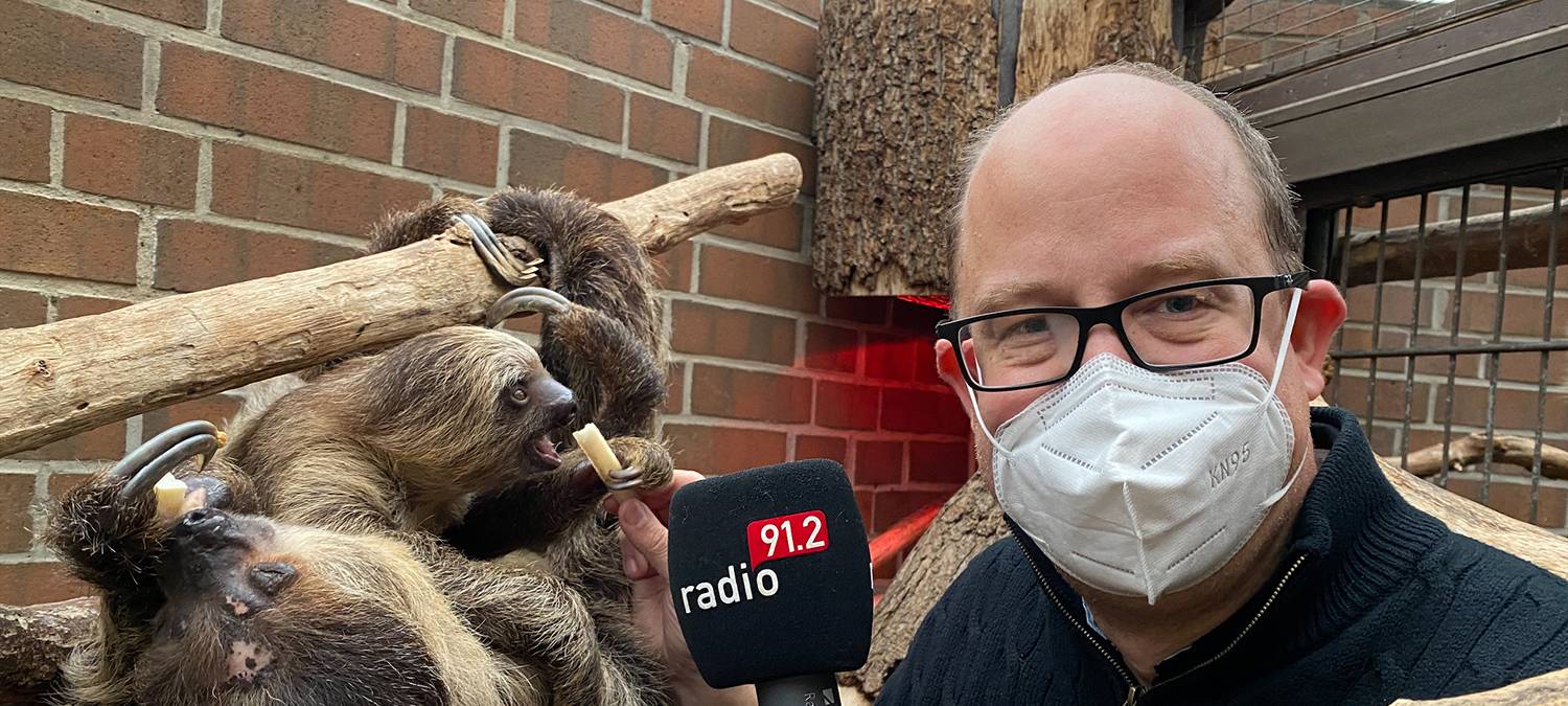 Radio 91.2-Chefredakteur kommentiert Faultier-Fütterung im Dortmunder Zoo.