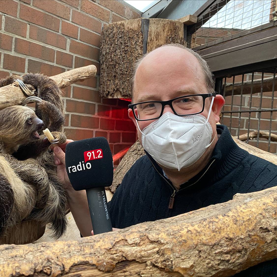 Radio 91.2-Chefredakteur kommentiert Faultier-Fütterung im Dortmunder Zoo.